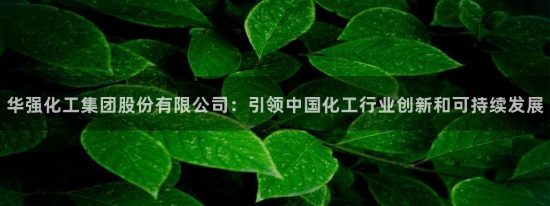球盟会电子好下吗：华强化工集团股份有限公司：引领中国化工行业