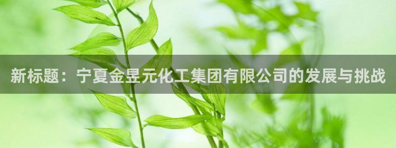 球盟会头号玩家是谁：新标题：宁夏金昱元化工集团有限公司的发展