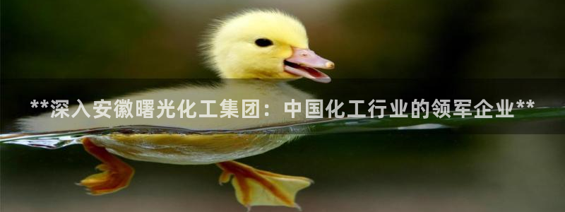 球盟会官方入口：**深入安徽曙光化工集团：中国化工行业的领军