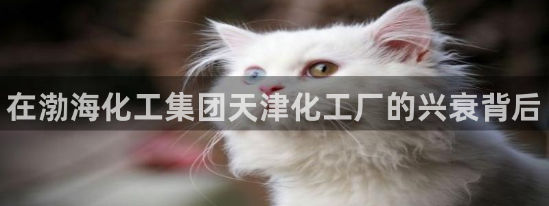 球盟会有没有黑单的人
