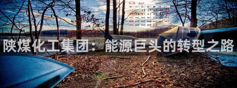 球盟会进不去吗