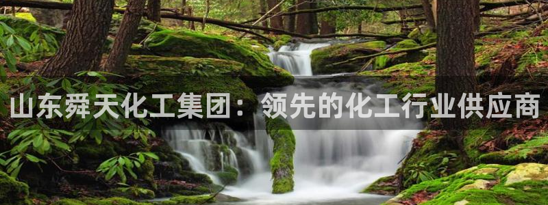 球盟会官方下载：山东舜天化工集团：领先的化工行业供应商
