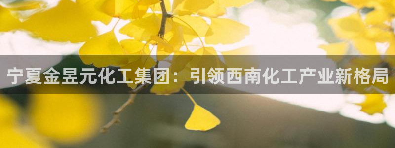 球盟会网页版