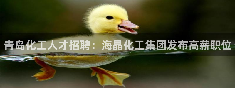 球盟会登录入口：青岛化工人才招聘：海晶化工集团发布高薪职位