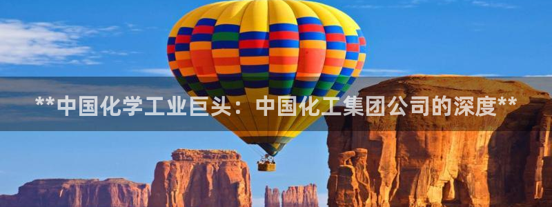 球盟会黑台子：**中国化学工业巨头：中国化工集团公司的深度*