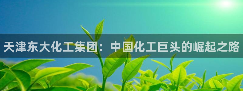 球盟会平台怎么样