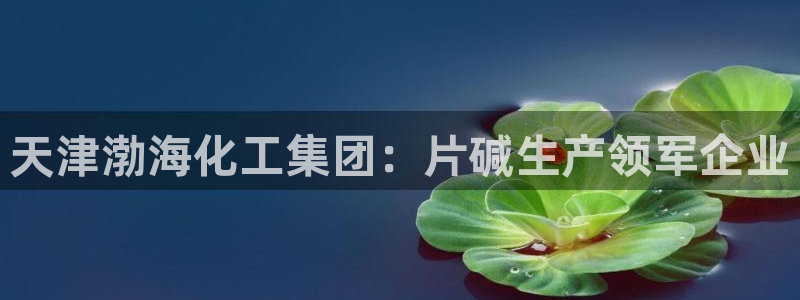 球盟会app最新地址在哪