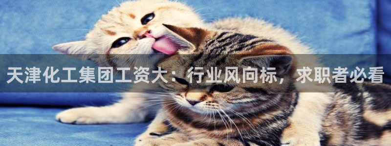 球盟会有没有黑单的人