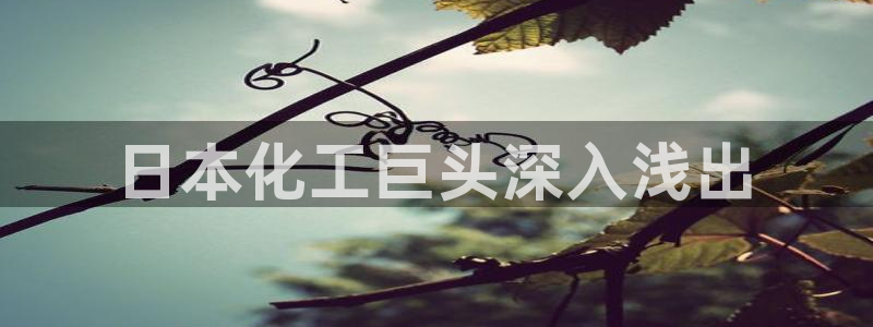 球盟会封号