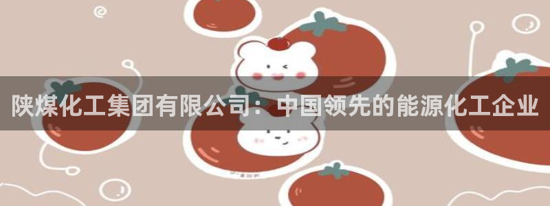 球盟会qm：陕煤化工集团有限公司：中国领先的能源化工企业