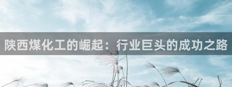 球盟会网页登录入口：陕西煤化工的崛起：行业巨头的成功之路