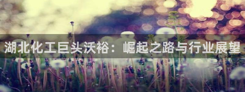 球盟会邮箱