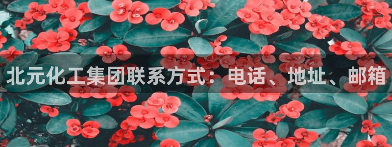 球盟会下款快吗