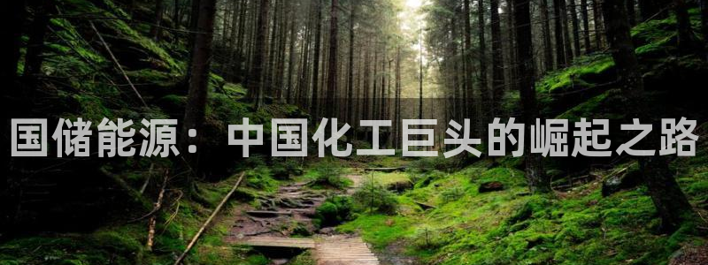 球盟会app网址多少