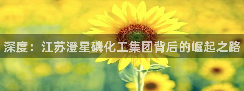 球盟会app入口