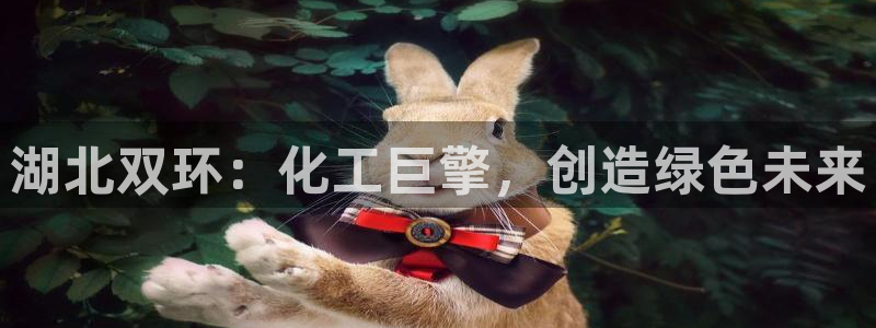 球盟会黑钱：湖北双环：化工巨擎，创造绿色未来