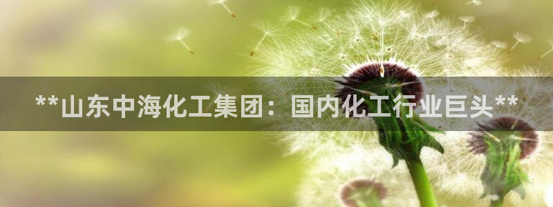 球盟会最新网：**山东中海化工集团：国内化工行业巨头**