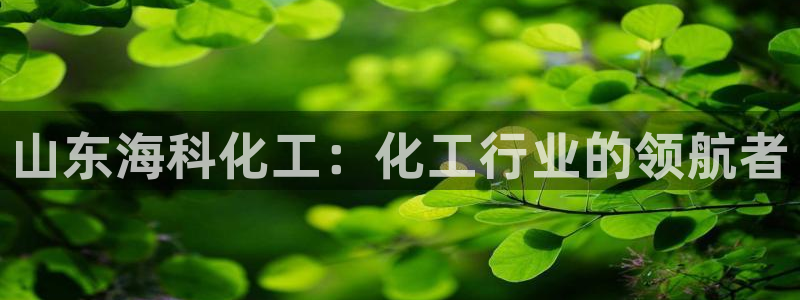 球盟会和中欧会的区别