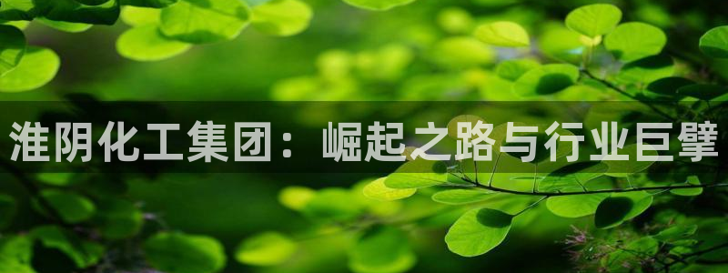 球盟会和中欧会的区别