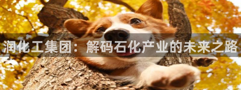 球盟会黑款吗知乎