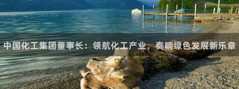 球盟会qmh网页版登录 - qm球盟会官方网站：中国化工集团