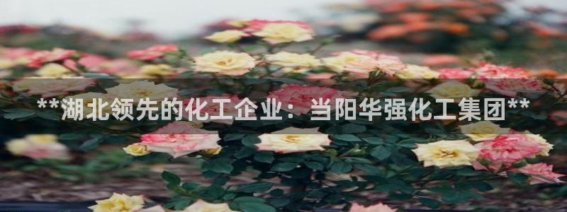 球盟会qmh - 球盟会官方网站：**湖北领先的化工企业：当