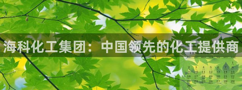 球盟会综合体育平台：海科化工集团：中国领先的化工提供商