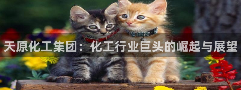 球盟会官方网站