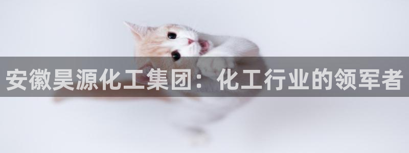 球盟会网页版