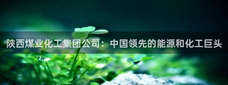 球盟会可以提现么是真的吗：陕西煤业化工集团公司：中国领先的能