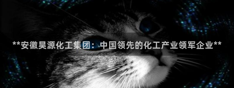 球盟会体育平台：**安徽昊源化工集团：中国领先的化工产业领军