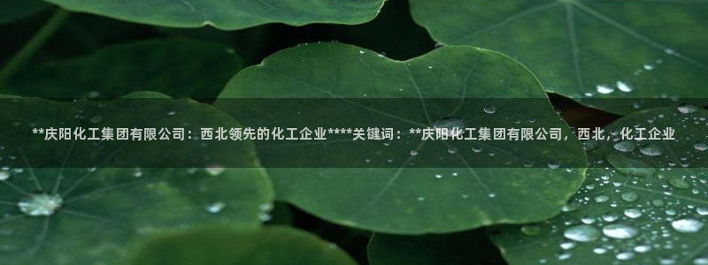 球盟会登录网址：**庆阳化工集团有限公司：西北领先的化工企业