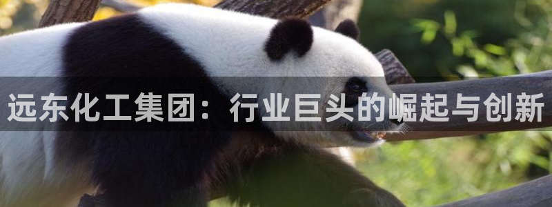 球盟会官网
