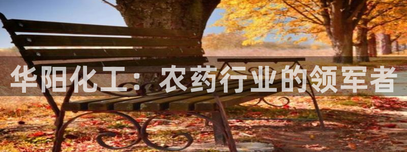 球盟会官方网入口：华阳化工：农药行业的领军者