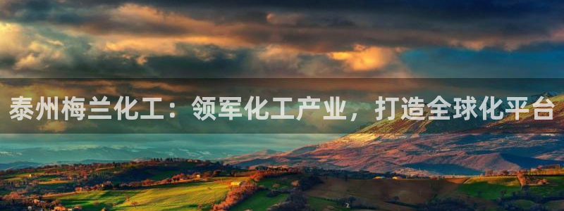 球盟会官方入口