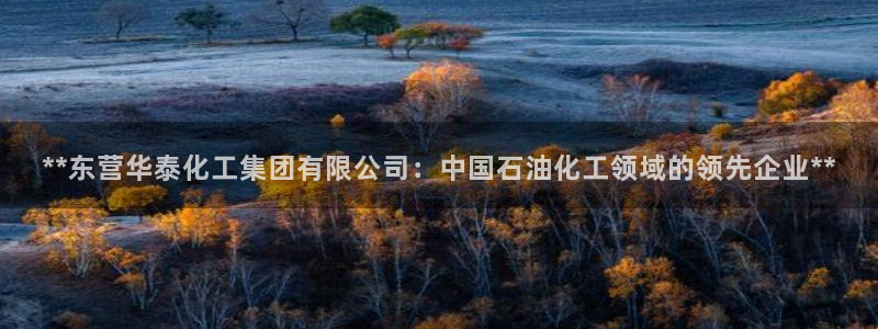 球盟会可以提现么现在：**东营华泰化工集团有限公司：中国石油