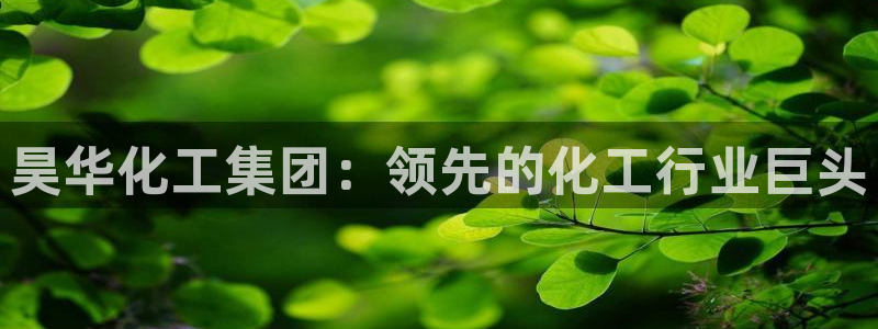 球盟会在线官网：昊华化工集团：领先的化工行业巨头