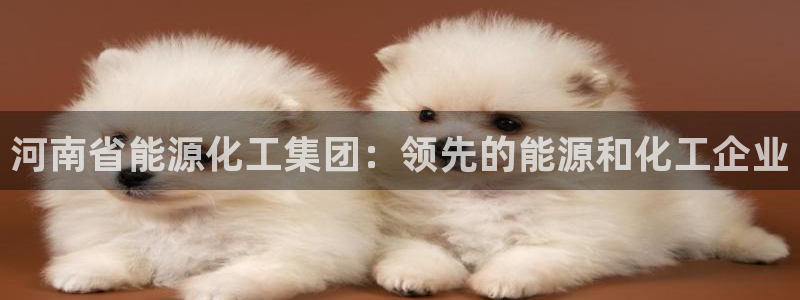 球盟会出款黑了：河南省能源化工集团：领先的能源和化工企业