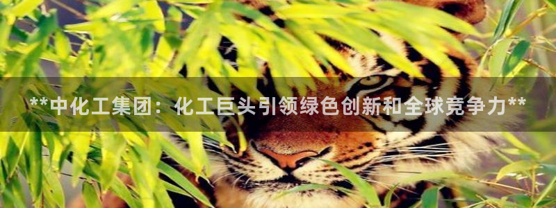 球盟会可以提现么现在：**中化工集团：化工巨头引领绿色创新和