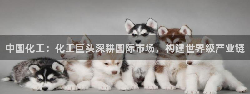球盟会黑台子吗