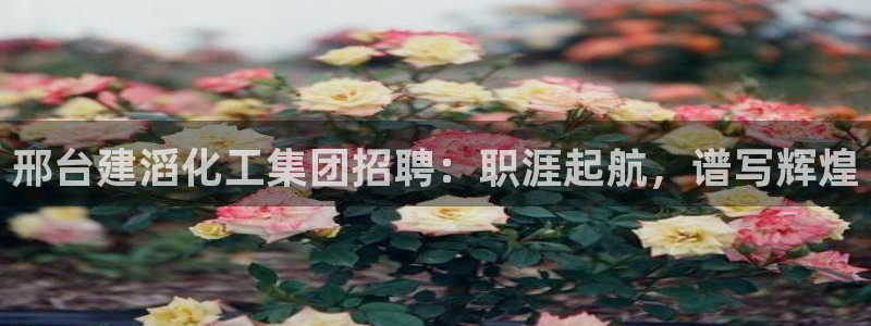 球盟会有没有黑单的活动：邢台建滔化工集团招聘：职涯起航，谱写