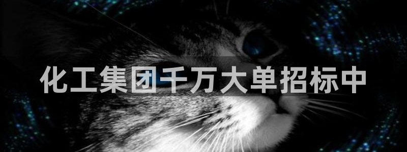 球盟会能提现吗