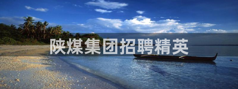 球盟会APP官网：陕煤集团招聘精英