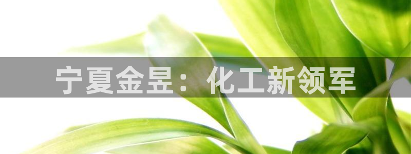 球盟会官方入口：宁夏金昱：化工新领军