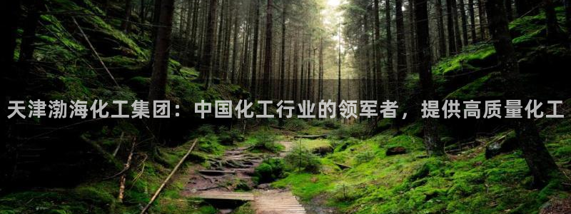 球盟会APP下载：天津渤海化工集团：中国化工行业的领军者，提