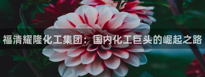 球盟会能提现吗是真的吗