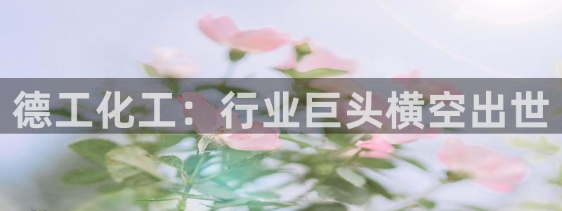 球盟会登陆中心