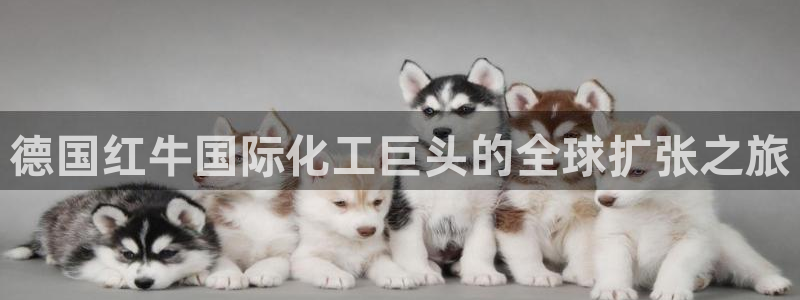球盟会出款黑了