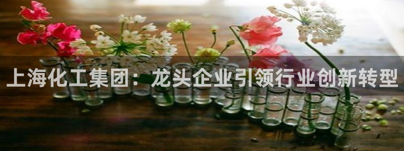 球盟会能退钱吗知乎