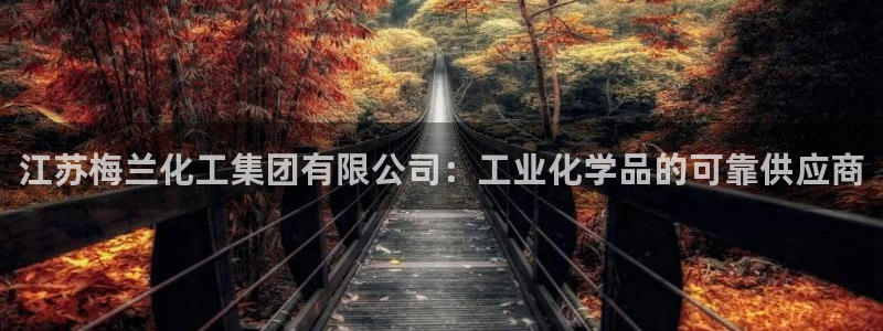 球盟会综合体育平台怎么样：江苏梅兰化工集团有限公司：工业化学